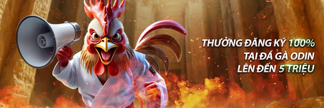 Hình ảnh sân đấu đá gà trực tuyến 11uu